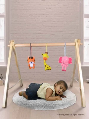 Wooden Baby Play Gym with 3 Felt Mobile Toys | Newborn Essentials