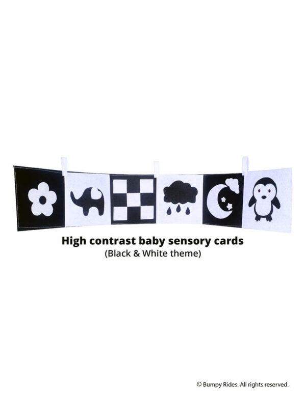 Black & White Visual Stimulation Cards for Newborns and Infants | Newborn Beginner Kit | Newborn Flash Cards