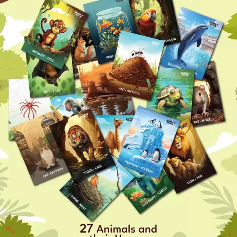birds and animal homes flash cards for kids