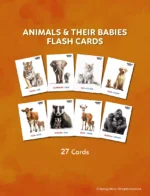 Animals & their Babies - Flash cards for Kids | Montessori Learning Materials