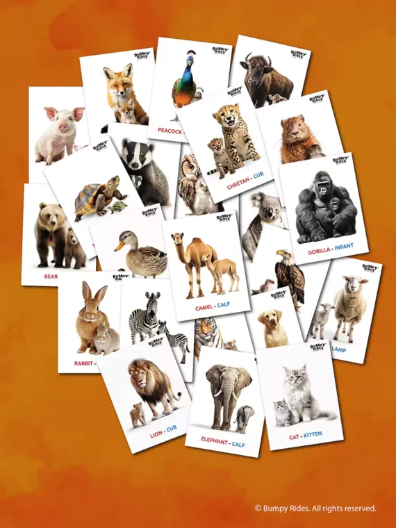 Animals & their Babies - Flash cards for Kids | Montessori Learning Materials