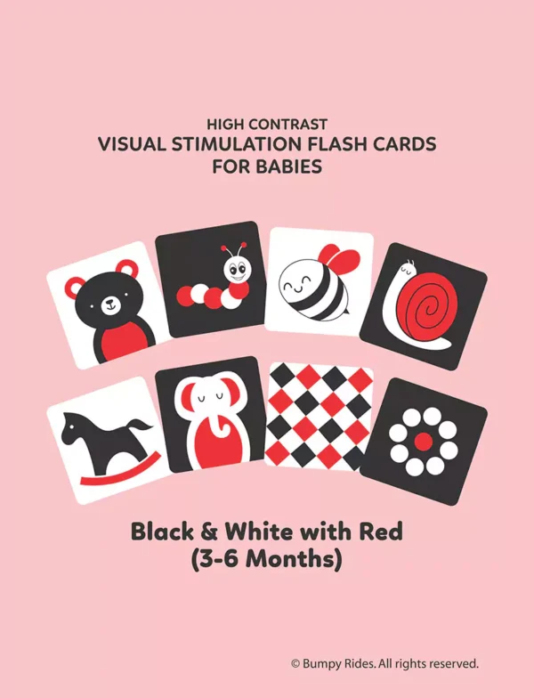 Baby High Contrast Visual Stimulation Flash Cards for 3 to 6 Month Babies (6 cards F&B)